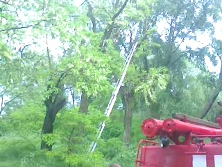 Полтавского серфера ветер бросил на деревья: мужчина погиб (дополнено)