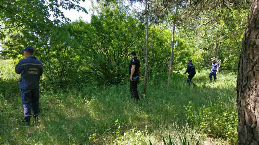 На Полтавщине женщина пропала в лесу: поиски продолжаются (фото)