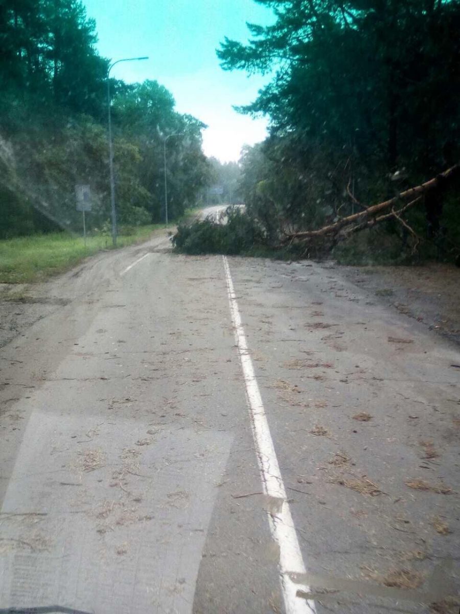 Поваленные деревья перекрыли полтавскую трассу