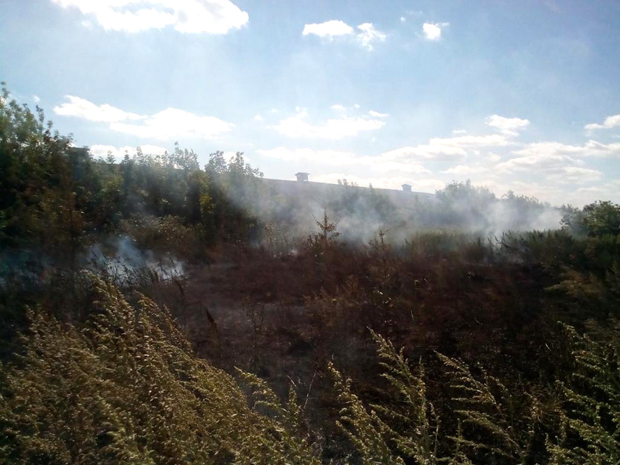 На Полтавщине - пожар на открытой территории (фото)