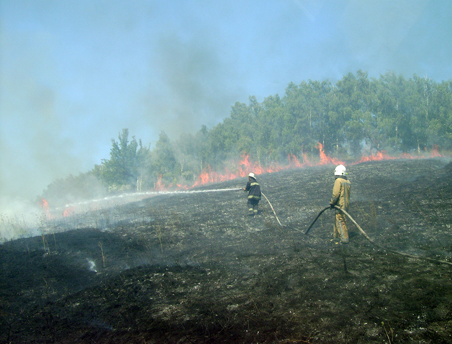 Пожарные спасли от уничтожения поля кукурузы и сои