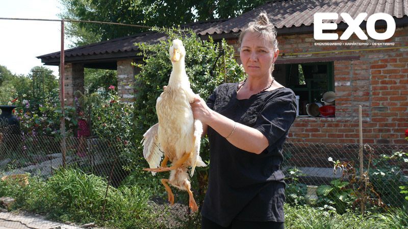 На Полтавщине родилась утка-мутант (фото)