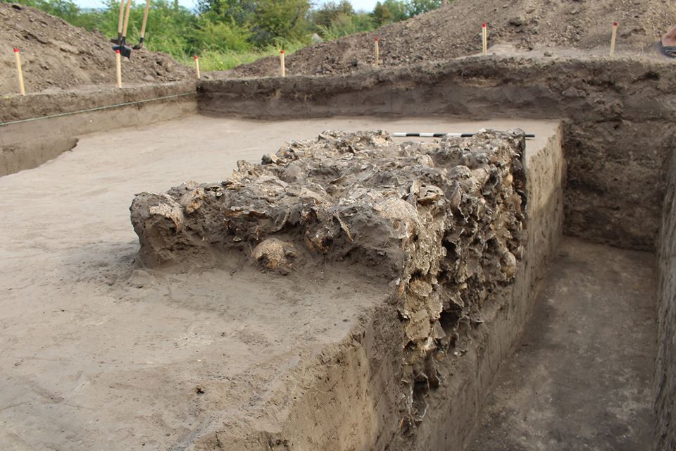 В 70 км от Кременчуга нашли захоронение 200 черепов (фото)