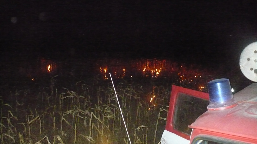 На Полтавщине горело кукурузное поле (фото)