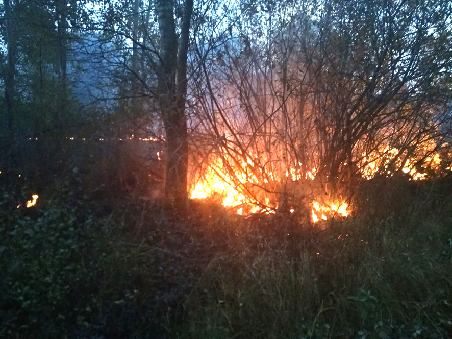 От горящей травы едва не загорелись три дома (фото)