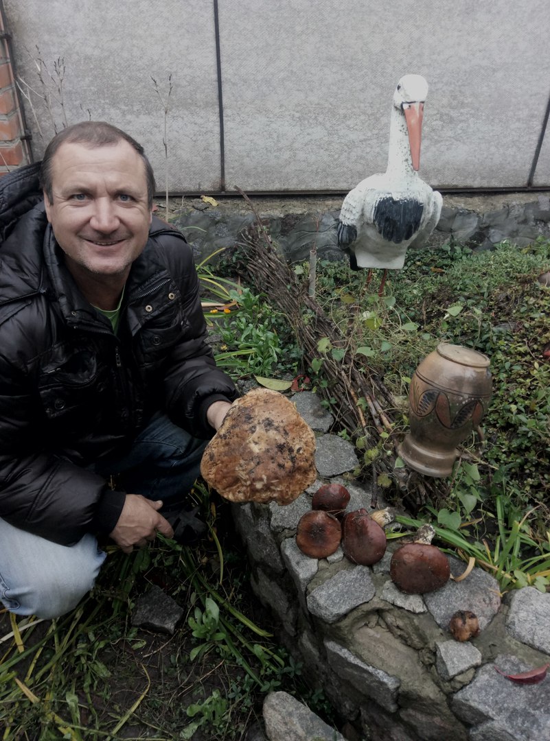 На Полтавщине мужчина нашел гигантский гриб (фото)