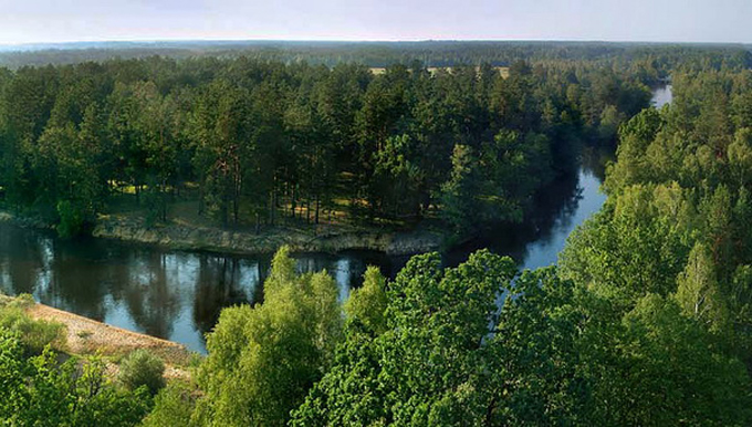Природный парк на Полтавщине объявлен зоной карантина