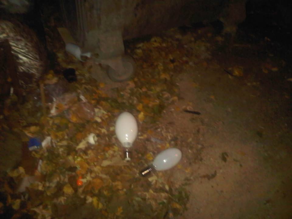В Полтаве выбросили котов в завязанном мешке (фото)