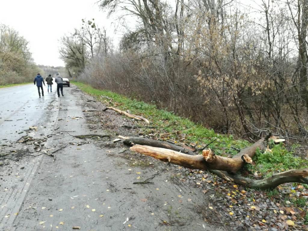 Буря повалила дерево на дорогу под Гадячем