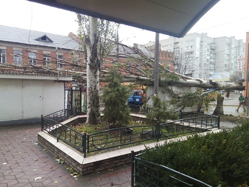 В Кременчуге рухнуло 26 деревьев