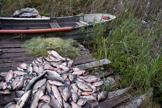 На Полтавщине задержали трех рыбных браконьеров (фото)