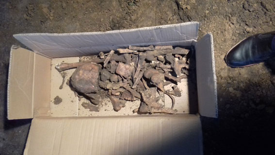 На Полтавщине нашли череп и кости 70-летней давности (фото)