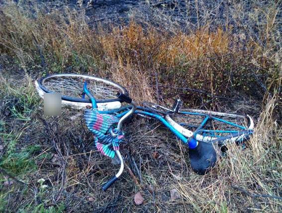 Велосипедист погиб под колесами Skoda (фото)