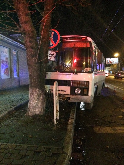 На Полтавщине пригородный автобус врезался в дерево (фото)