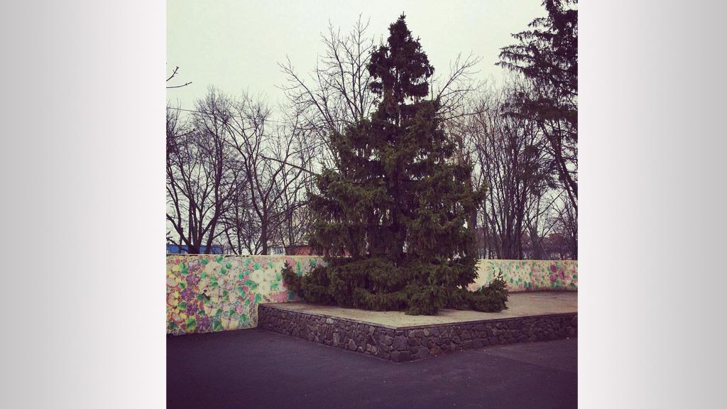 В Кобеляках местный житель подарил городу главную елку (фото)