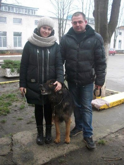 В Кременчуге накануне Рождества хозяева нашли пса, которого искали два года