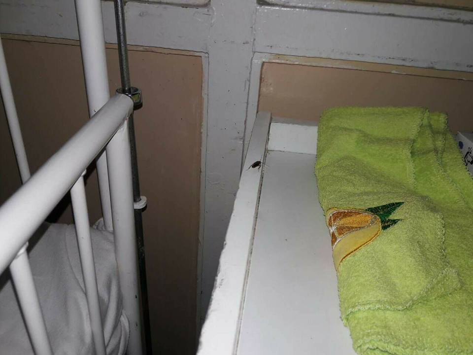 Полтавчане шокированы тараканами в детской больнице (фото)
