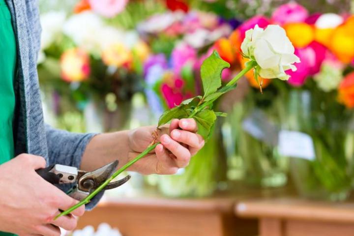 Полтавский дом культуры заказал срезанные цветы на 200 тысяч