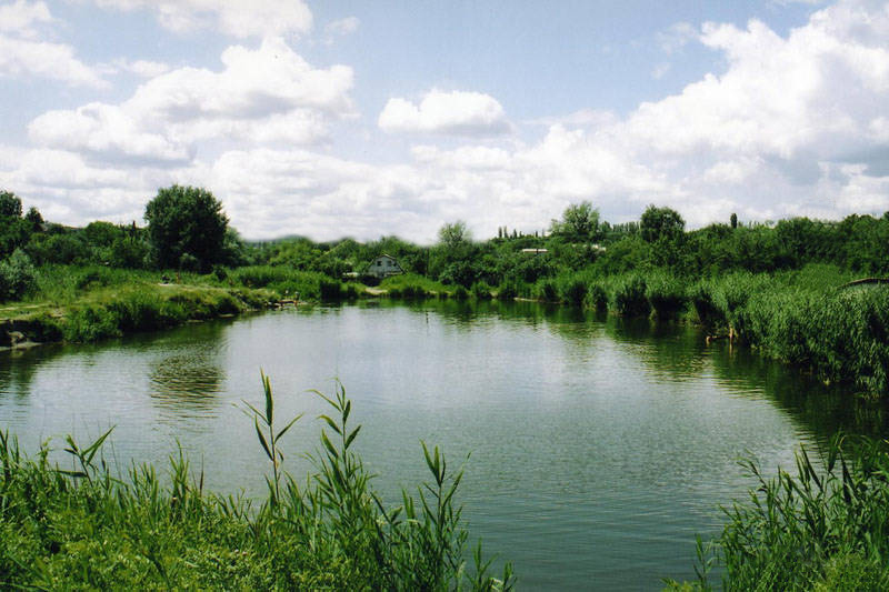 В полтавском селе расчистят заболоченный пруд и построят спорткомплекс