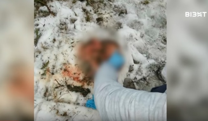 На месте крушения вертолета в Кременчуге нашли голову погибшего (фото 18+)