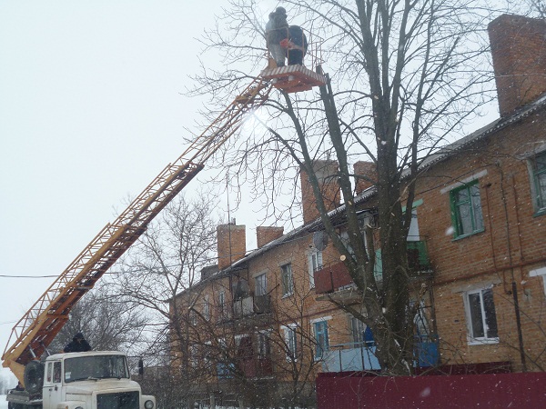 В Карловском районе спилили опасные деревья (фото)