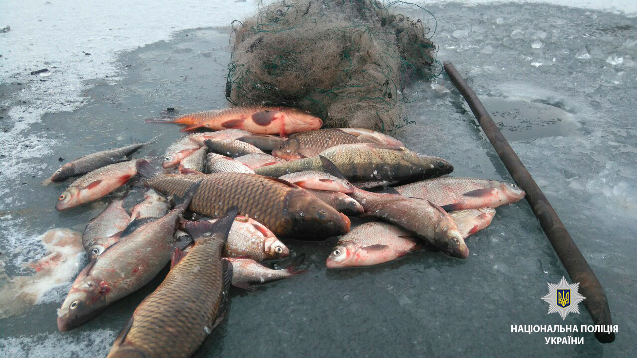 Водные полицейские задержали рыбного браконьера (фото)