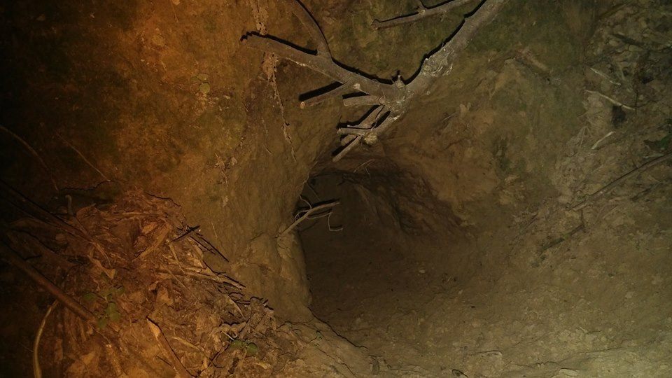 На Полтавщине щенок жил в лисьей норе (фото)