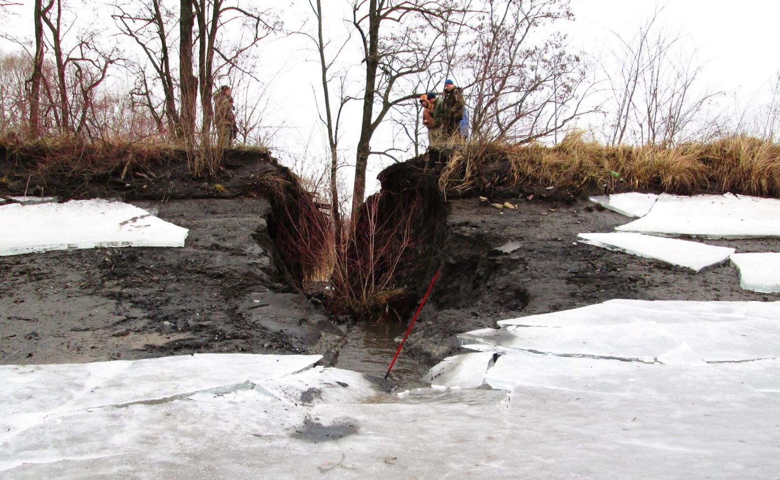 Подземные ходы бобров обнаружили в плотине на Полтавщине (фото)