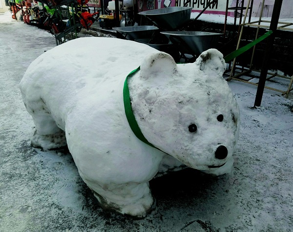 На рынке под Полтавой появился медведь (фото)