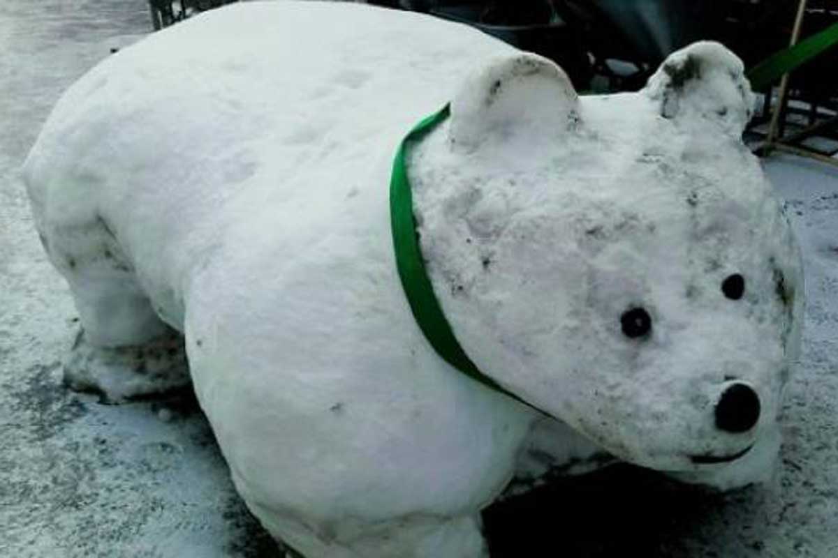 В Кременчуге появилась загадочная снежная скульптура (фото)