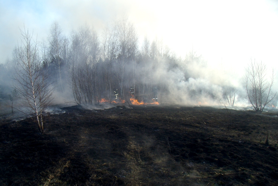 На Полтавщине - четыре пожара на открытых территориях (фото)