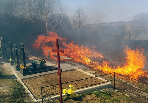 В Полтаве произошел пожар на кладбище (фото)