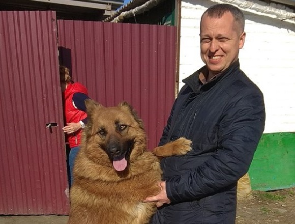 На Полтавщине мужчина спустя полгода нашел пропавшую собаку (фото)