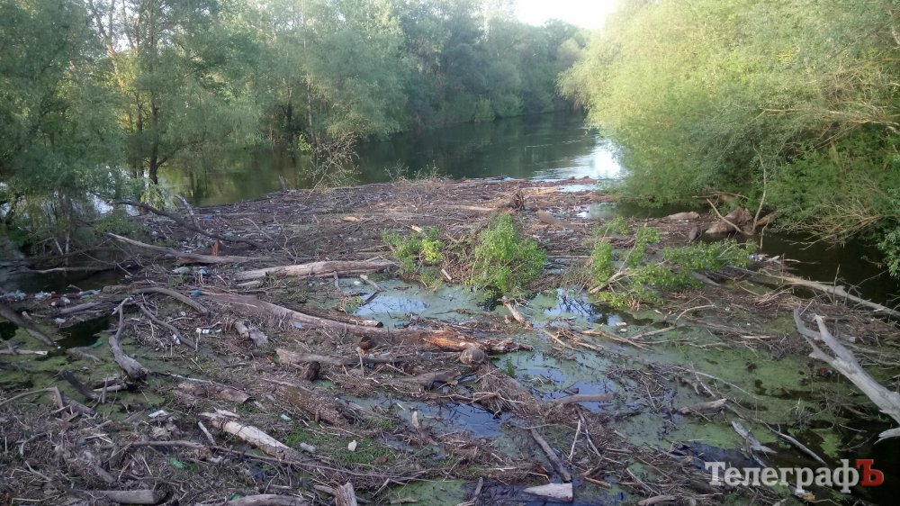 На Полтавщине реку завалило сухостоем (фото)