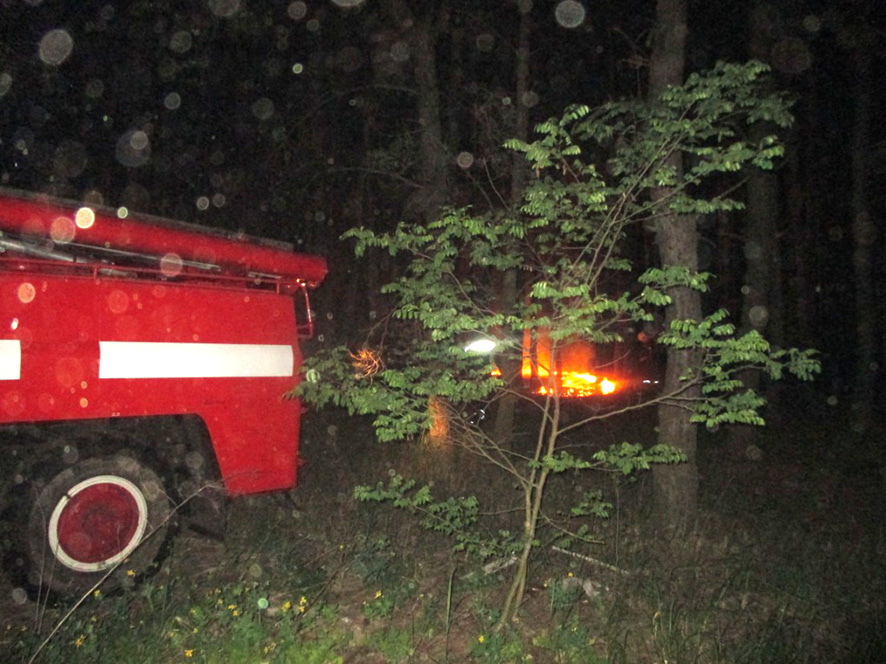 Лесной пожар под Кременчугом: опубликованы фото
