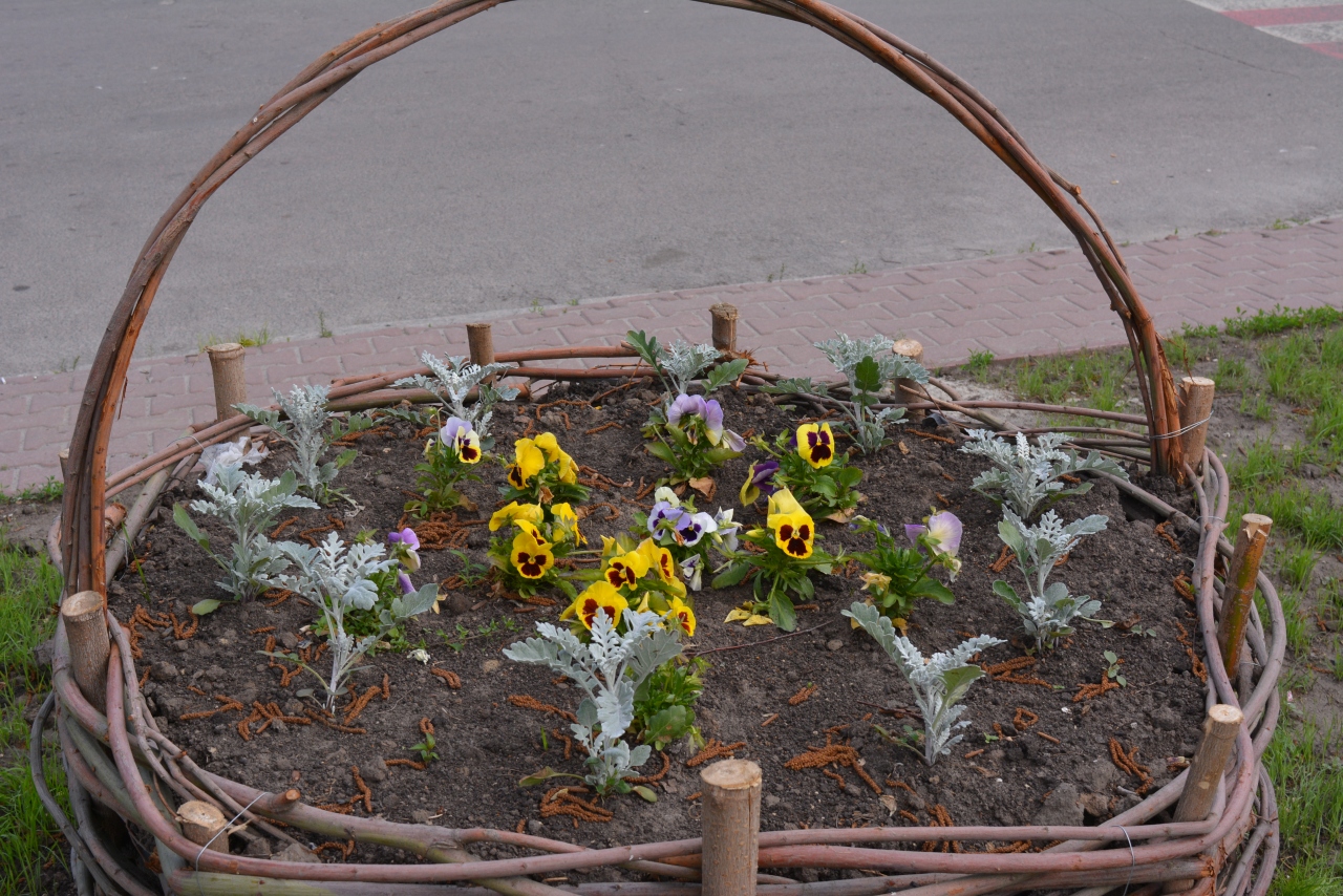 Город на Полтавщине украсили корзинами с цветами (фото)