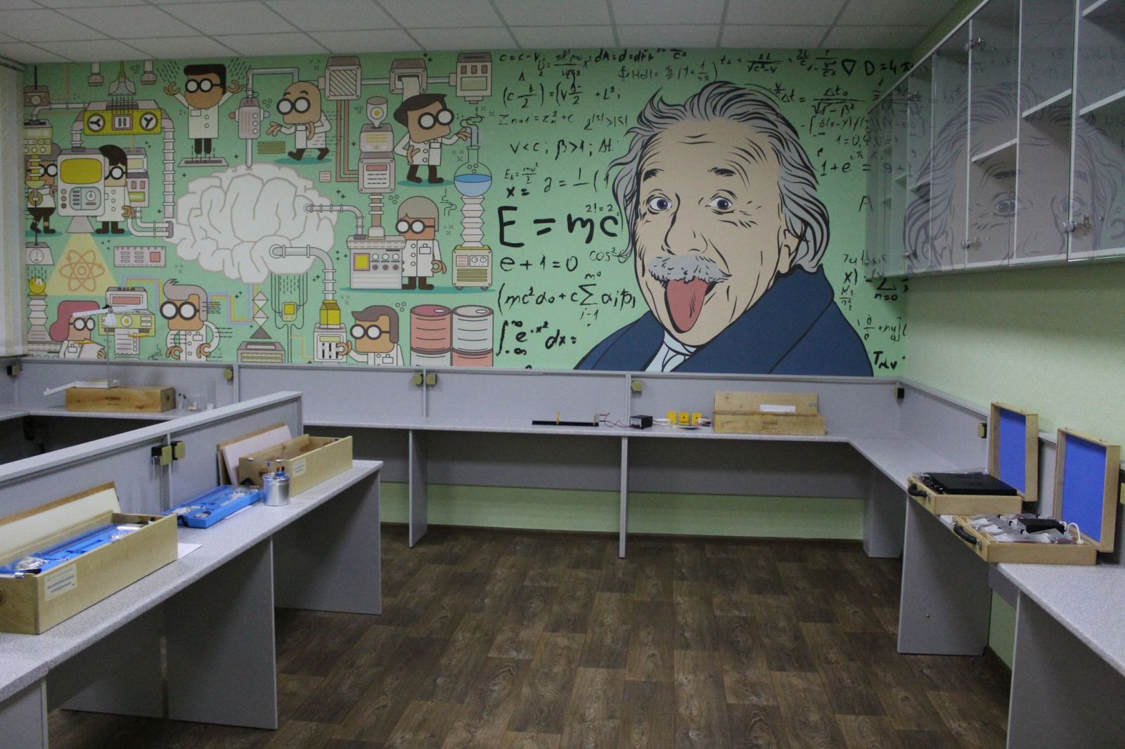 Граффити с Эйнштейном украсило школу на Полтавщине (фото)