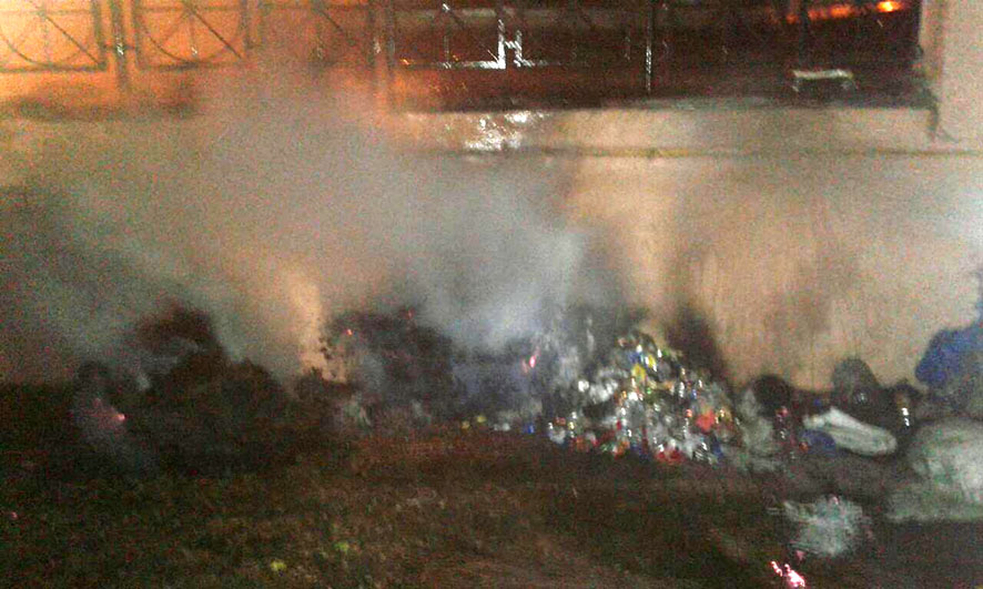 В Полтаве ночью произошел пожар в парке (фото)