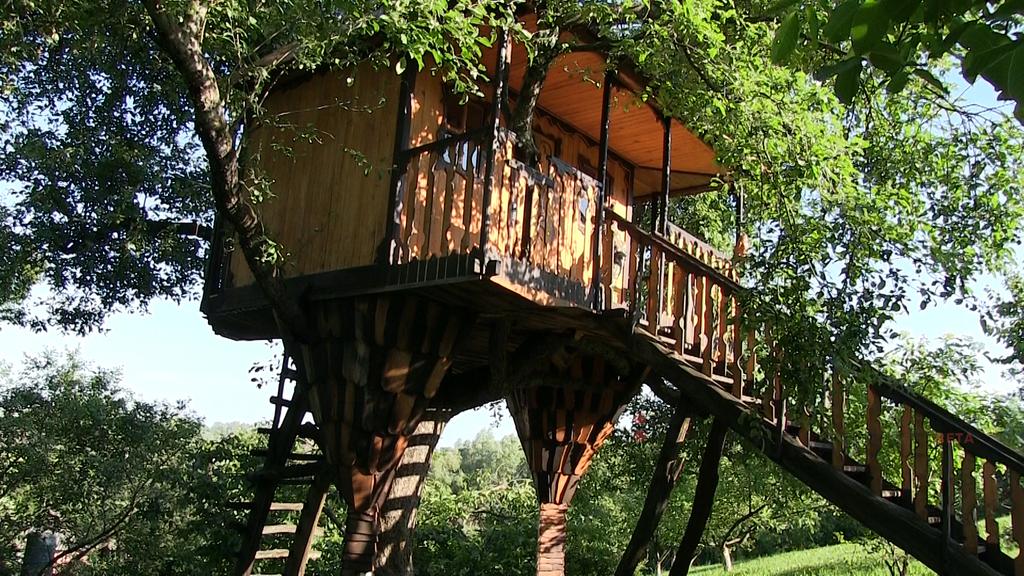 Полтавчанин построил домик на дереве (фото)
