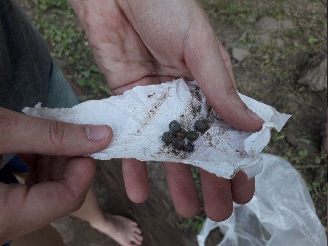 На Полтавщине археологи обнаружили детский некрополь (фото)
