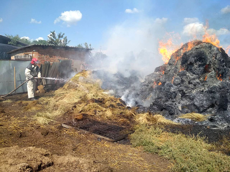 На Полтавщине огонь уничтожил 15 тонн сена и соломы (фото)