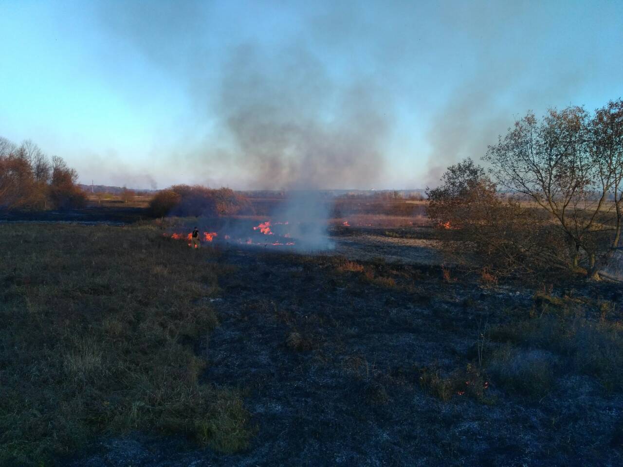 За сутки на Полтавщине - три пожара на открытой местности (фото)