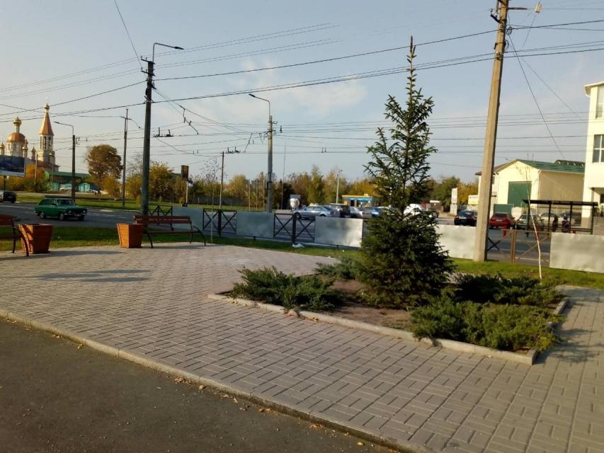 В Кременчуге обустроят зеленую зону (фото)