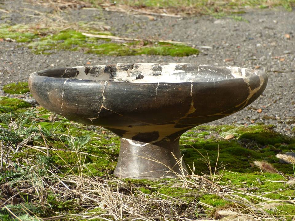 Археологи показали вазу из курганного некрополя (фото)