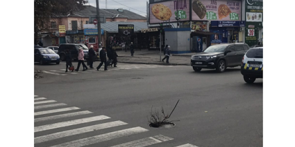 Яму на дороге в центре Кременчуга "обозначили" ветками (фото)