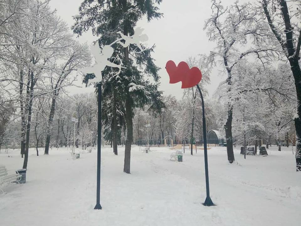 В парке на Полтавщине установили "любовную" арку (фото)