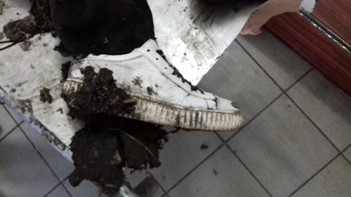 Под Полтавой у лесополосы нашли растерзанное животными тело (фото 18+)