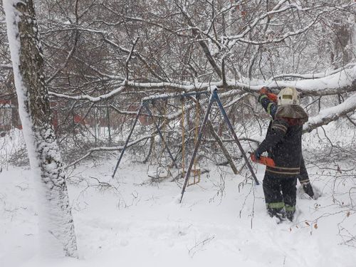 В Кременчуге на детскую площадку упало дерево (фото)