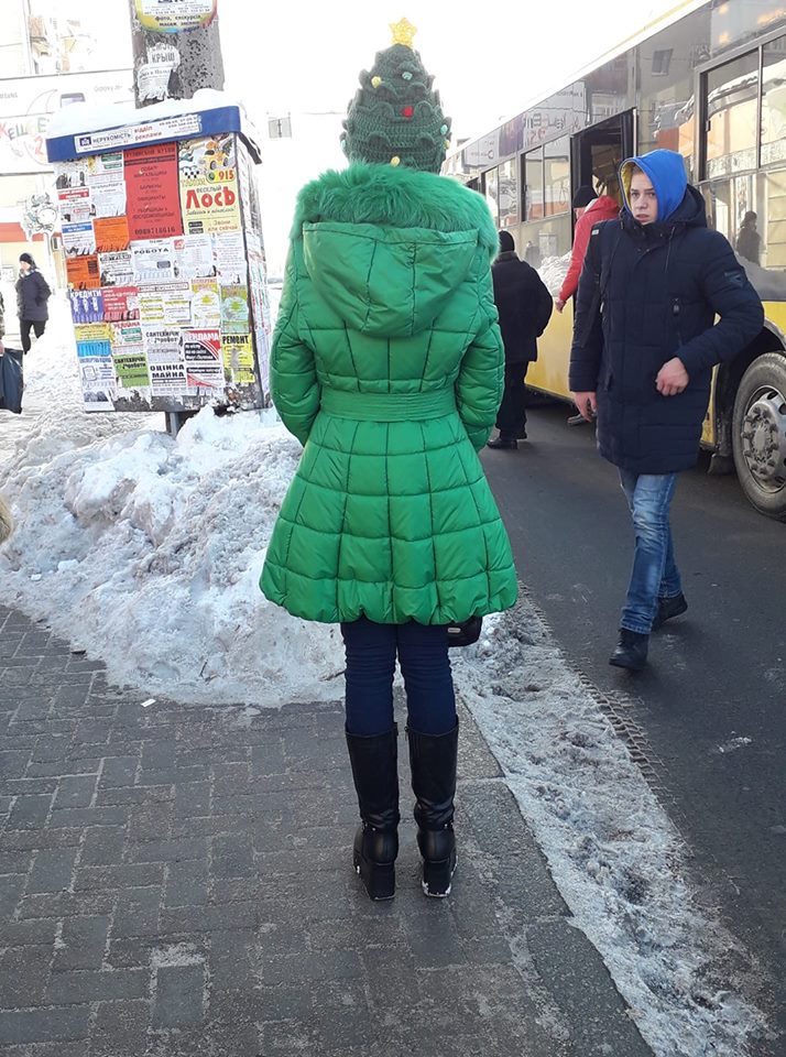 В городе замечена полтавчанка-елочка (фото)