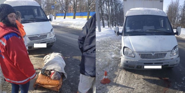 В Кременчуге ГАЗель сбила женщину на пешеходном переходе (фото)